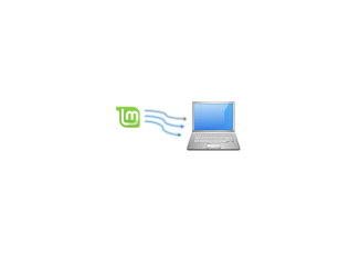 Different Ways to Install Linux Mint